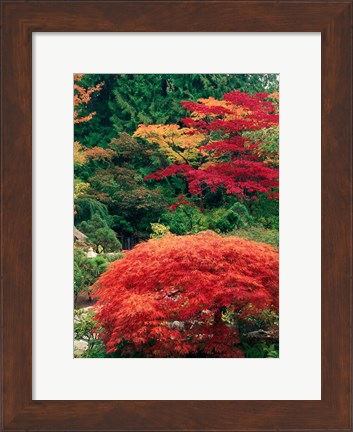 Framed View of Butchart Garden, Victoria, British Columbia, Canada Print