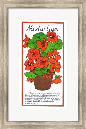 Framed Nasturtium Print