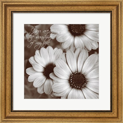 Framed Sepia Blossoms I Print