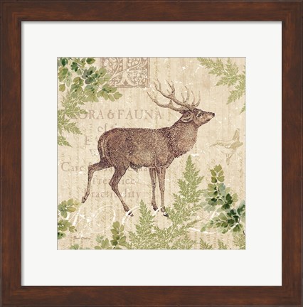 Framed Woodland Trail I (Deer) Print