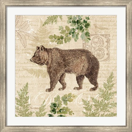 Framed Woodland Trail II (Bear) Print