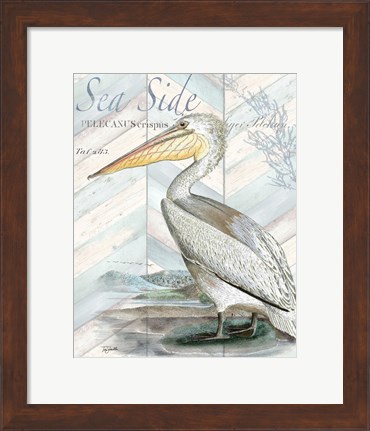 Framed Shore Birds II Print
