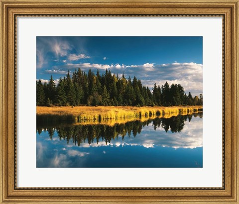 Framed Trees reflecting in Snake River, Grand Teton National Park, Wyoming Print