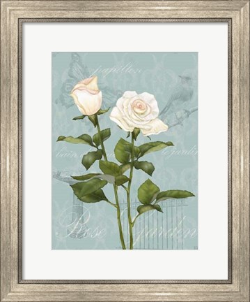 Framed Cream Rose II Print