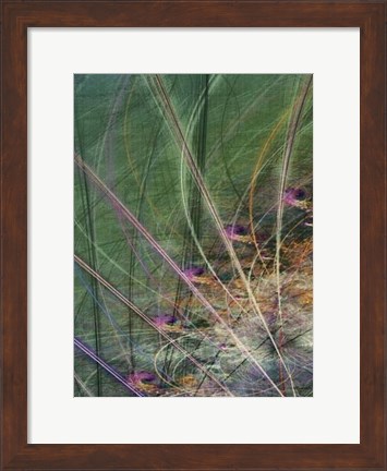 Framed Wetland Vector II Print