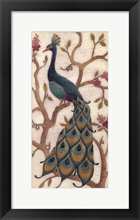 Framed Peacock Fresco II Print