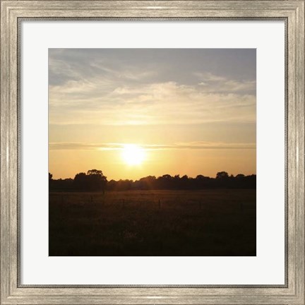 Framed Sunset Field I Print