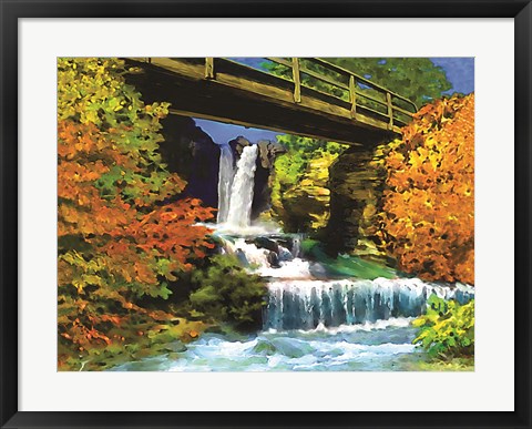 Framed Waterfall C Print