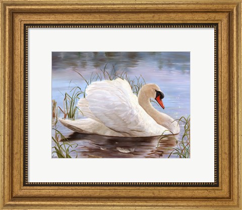 Framed Swan Print