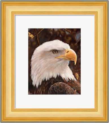 Framed Eagle Print