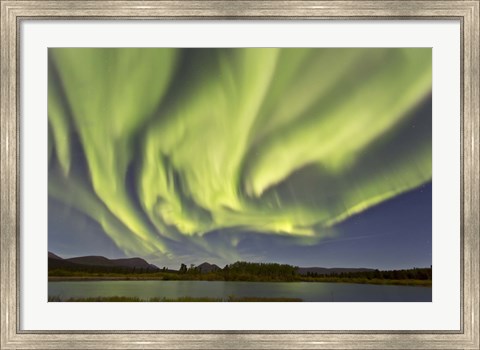Framed Aurora Borealis, Yukon, Canada Print