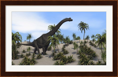 Framed Large Brachiosaurus in a Tropical Environment Print