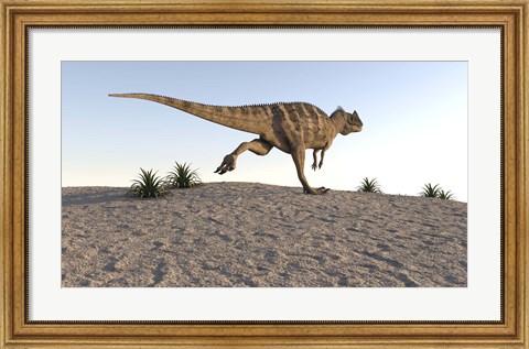Framed Ceratosaurus Running Across a Terrain Print