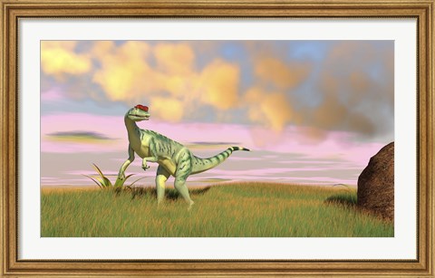 Framed Dilophosaurus Hunting in an Open Field Print