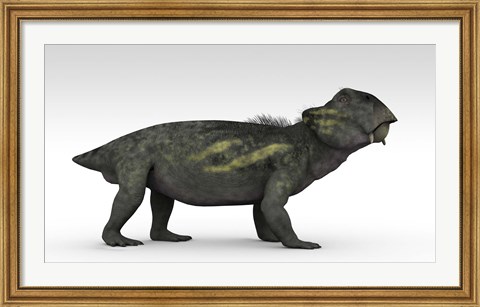 Framed Lystrosaurus Print