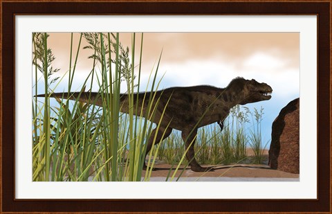 Framed Tyrannosaurus Rex Hunting for Meal Print
