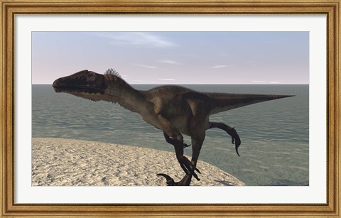 Framed Utahraptor Running by Bay Print