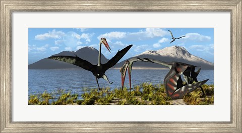 Framed Gigantic Quetzalcoatlus pterosaurs Print