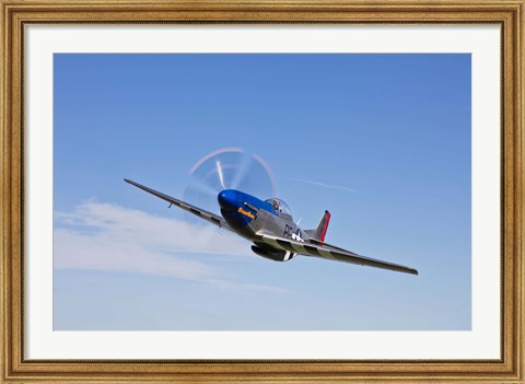 Framed P-51D Mustang in Flight Print