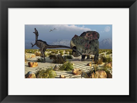 Framed Protoceratops Biting a Velociraptor Print