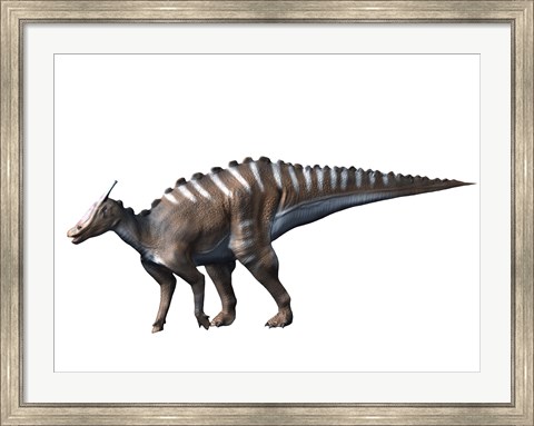 Framed Saurolophus Dinosaur Print