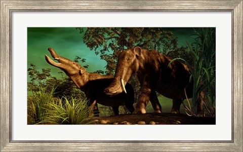 Framed Platybelodon Print