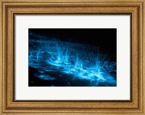 Framed Bioluminescence Splashes in the Gippsland Lakes Print