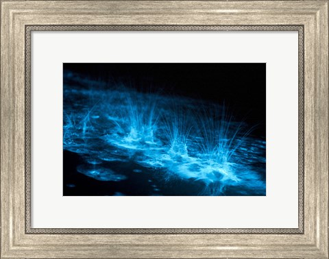 Framed Bioluminescence Splashes in the Gippsland Lakes Print