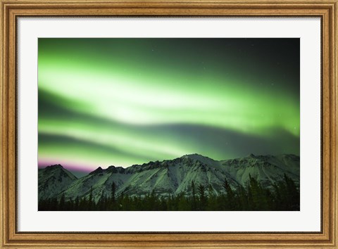 Framed Bright Aurora Borealis over Annie Lake Print