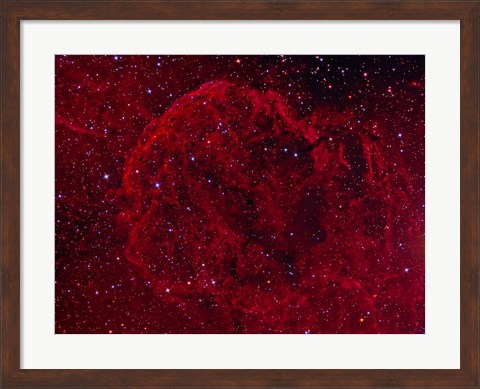 Framed Jellyfish Nebula Print