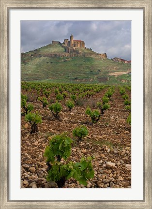 Framed Vineyard in stony soil with San Vicente de la Sonsierra Village, La Rioja, Spain Print
