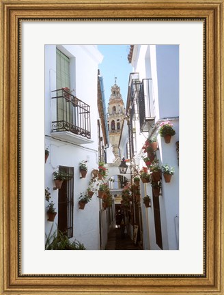 Framed Calleja de las Flores (Flower Alley), Spain Print