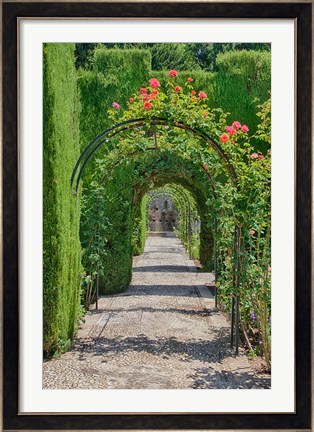 Framed Archway of trees in the gardens of the Alhambra, Granada, Spain Print