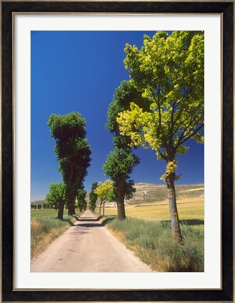 Framed Pilgrimage Road, El Camino de Santiago de Compostela, Castile, Spain Print