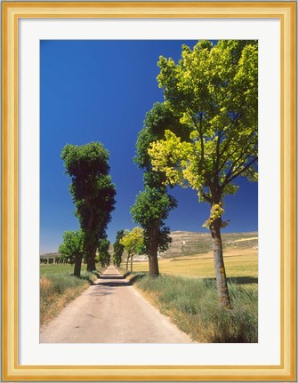 Framed Pilgrimage Road, El Camino de Santiago de Compostela, Castile, Spain Print