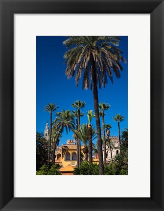 Framed Alcazar Gardens, Seville, Spain Print