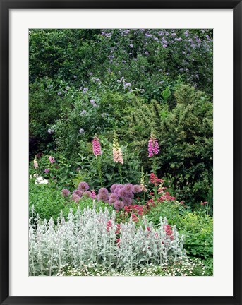 Framed Nash Garden, St James Park, London, England Print