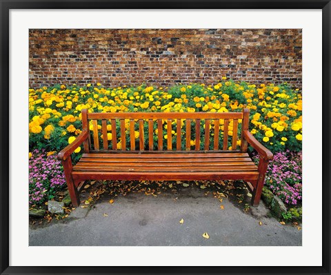 Framed England, Northumberland, Hexham, Park bench Print
