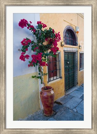 Framed Bougenvillia Vine in Pot, Oia, Santorini, Greece Print