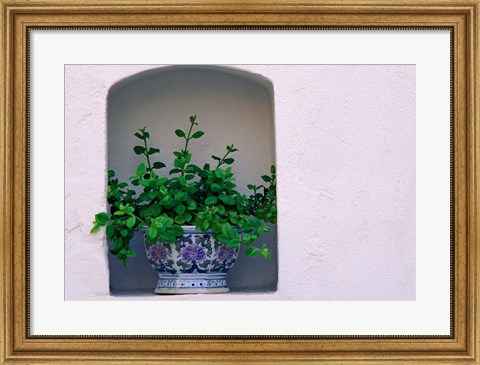 Framed Alcove Plant, Santorini, Greece Print