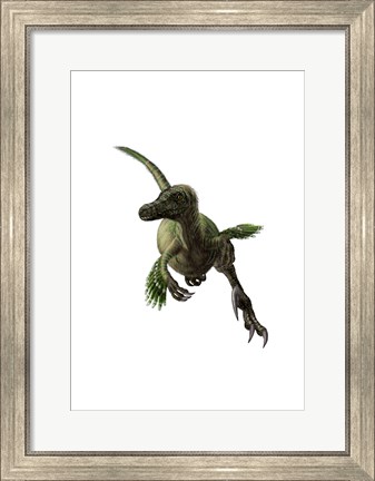 Framed Velociraptor, White Background Print