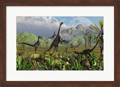 Framed Velociraptor Dinosaurs Attack a Camarasaurus Print
