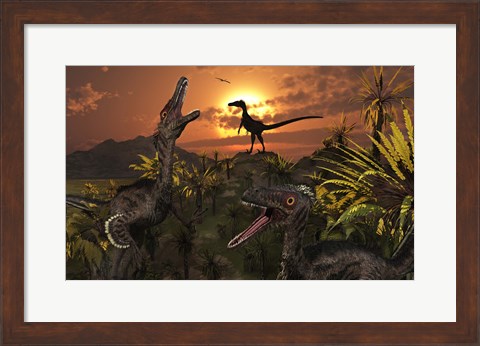 Framed Group of Feathered Carnivorous Velociraptors Print