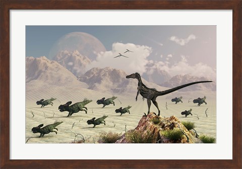 Framed Protoceratops stampede in fear as a Velociraptor Watches Print