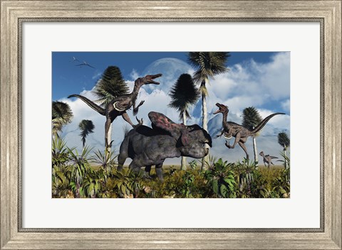 Framed Velociraptors Attack a Lone Protoceratops Print