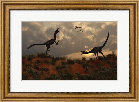 Framed Pair of Velociraptors Print