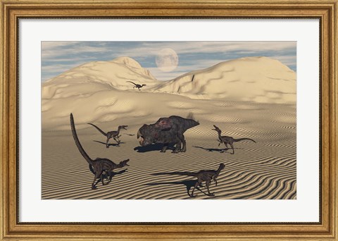 Framed Velociraptors Encircling a  Protoceratops Print