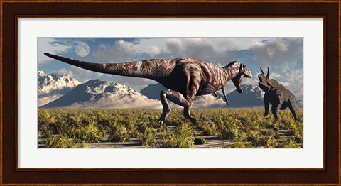 Framed T- Rex and Triceratops meet for a Battle 3 Print