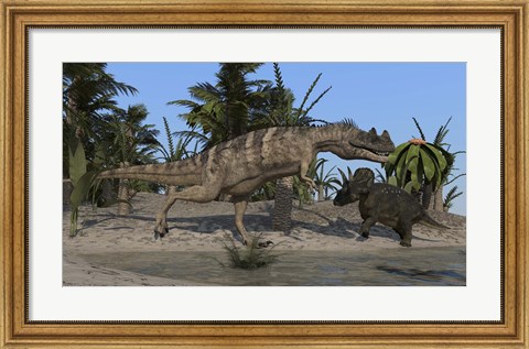 Framed Ceratosaurus Hunting down a Triceratops Print