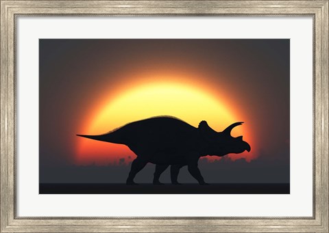 Framed Silhouetted Triceratops strolling Past a Setting Sun Print